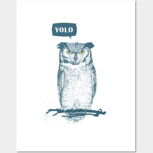 YOLO Posters and Art